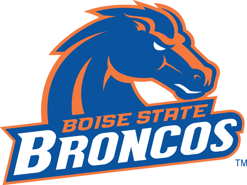 Boise State Broncos 2002-2012 Alternate Logo t shirts DIY iron ons